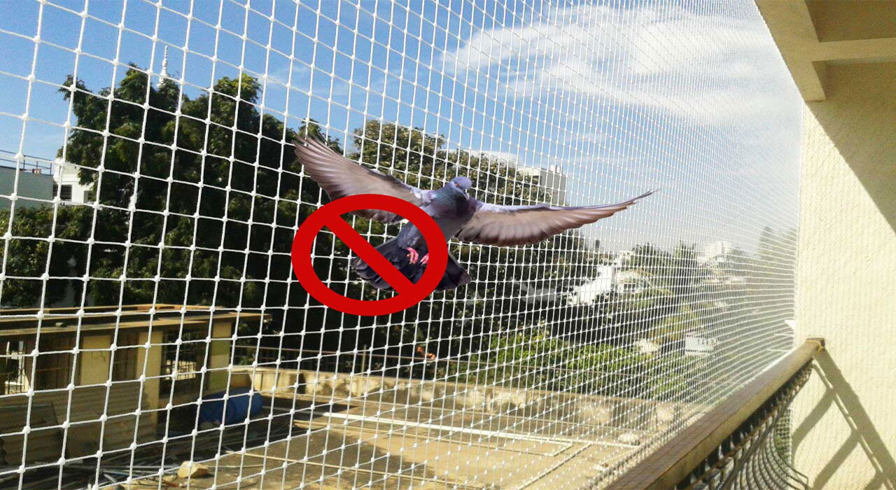 pigeon net